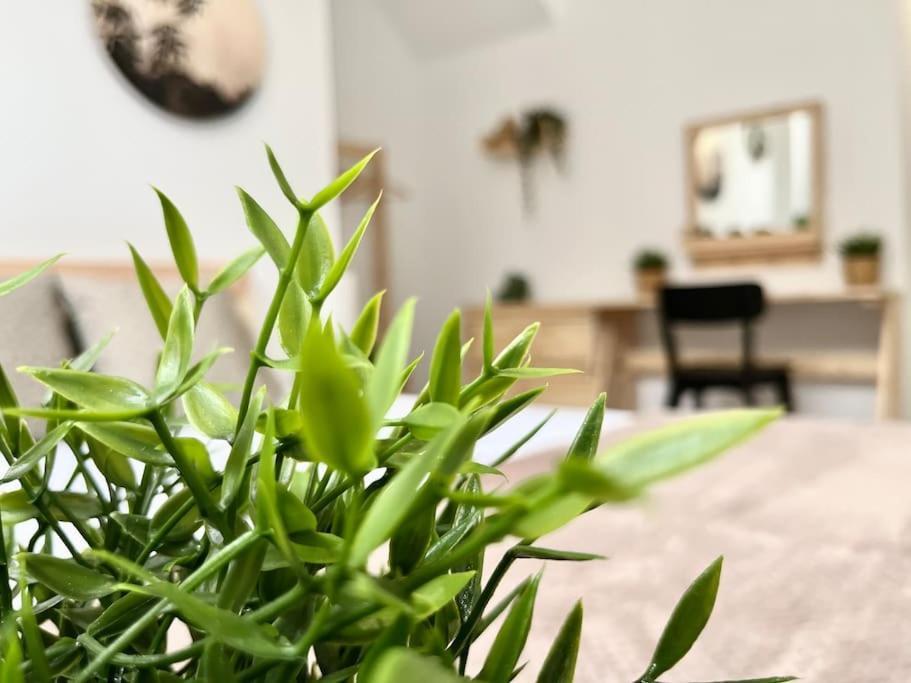 Apartamento Vive Zaragoza V Esterno foto